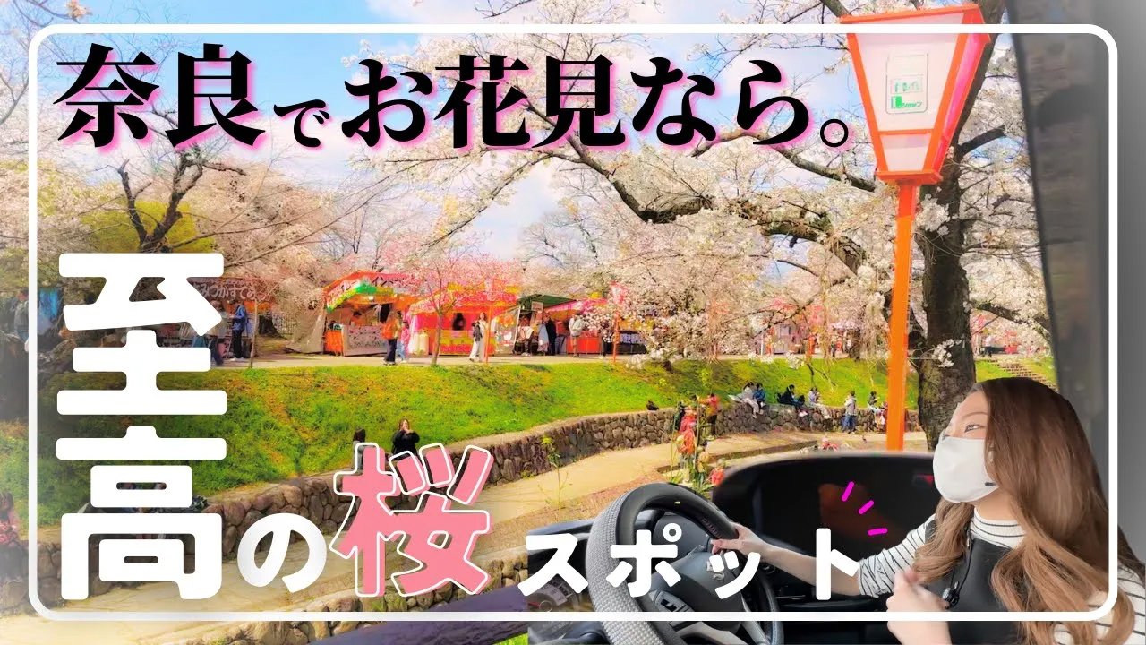 西室ドライブ企画